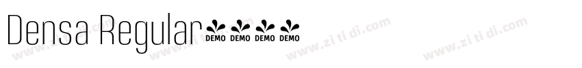 Densa Regular字体转换